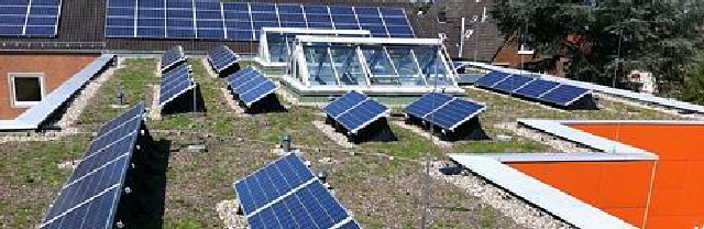 aktuelles 2011.05 - Grundschule Fahlerweg, Dachbegrnung mit Solaranlage